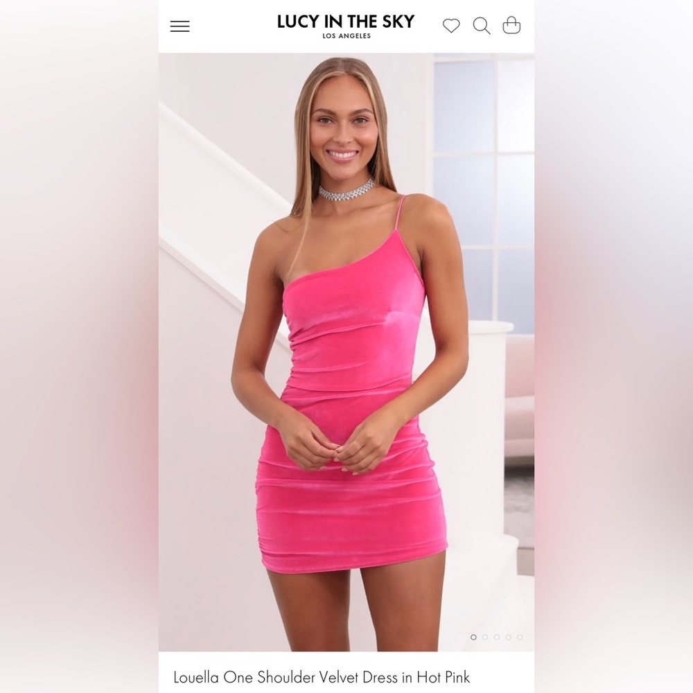 Lucy in the Sky Louella Dress Hot Pink Velvet. New without tags